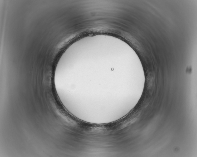 X0000091530446200709141438
