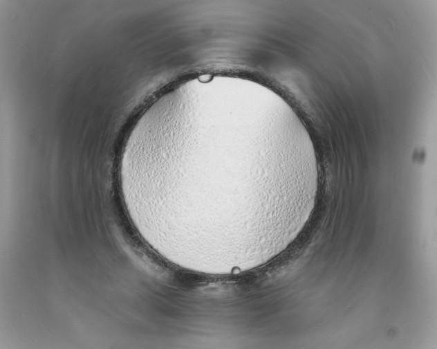 X0000091530447200709141438