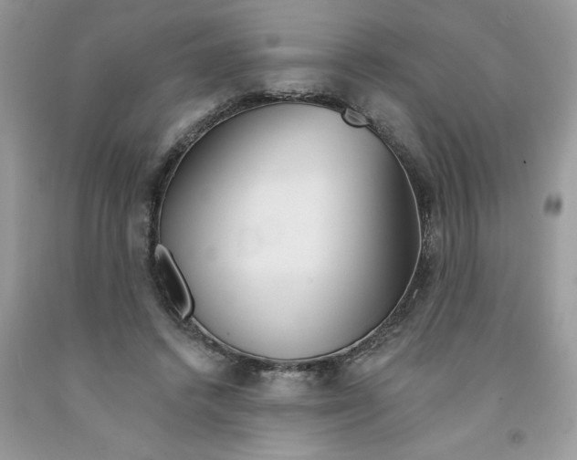 X0000091530448200709141438