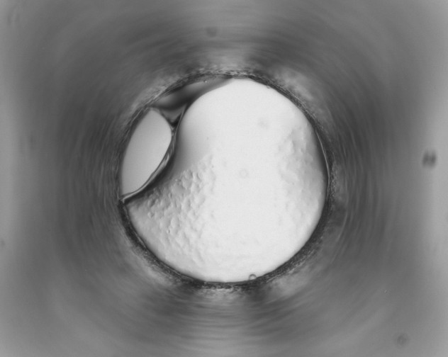 X0000091530449200709141438