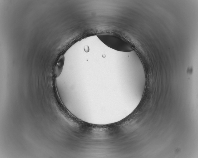 X0000091530450200709141438