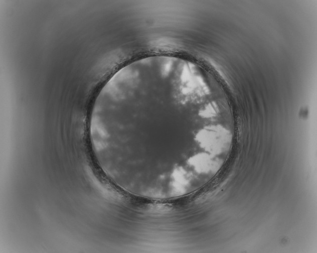 X0000091530451200709141438