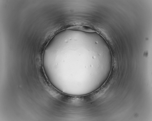 X0000091530453200709141438