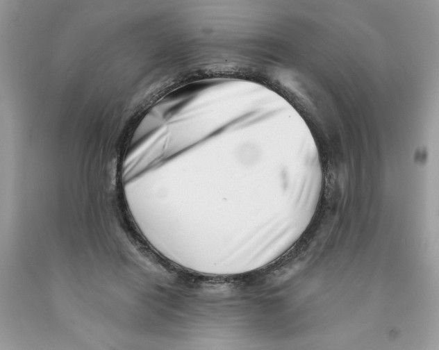 X0000091530454200709141438
