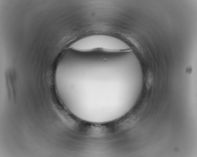 X0000091530455200709141438
