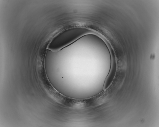 X0000091530456200709141438