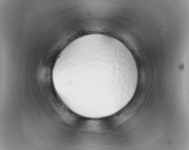 X0000091530457200709141438