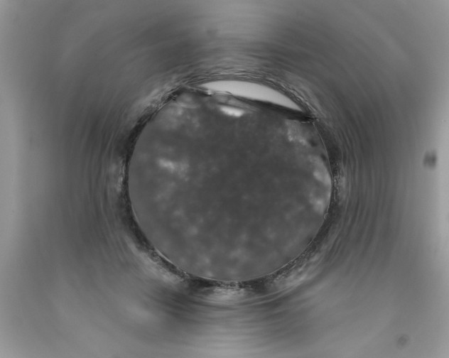 X0000091530458200709141438