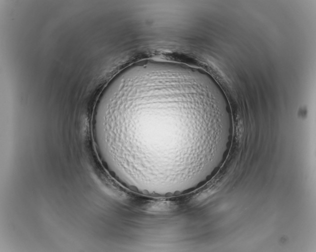 X0000091530459200709141438