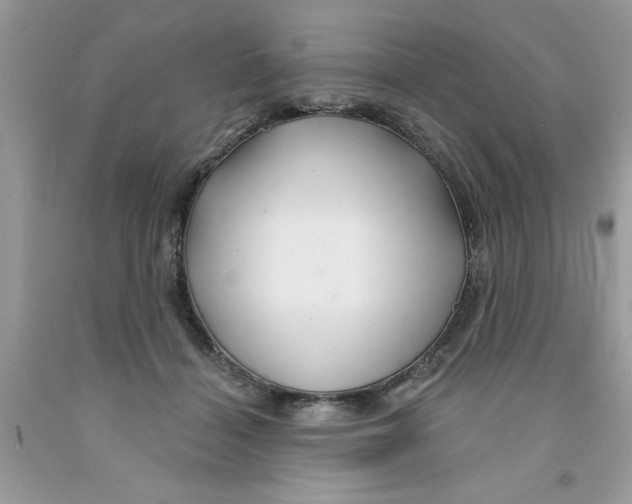X0000091530460200709141438