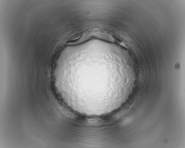 X0000091530461200709141438