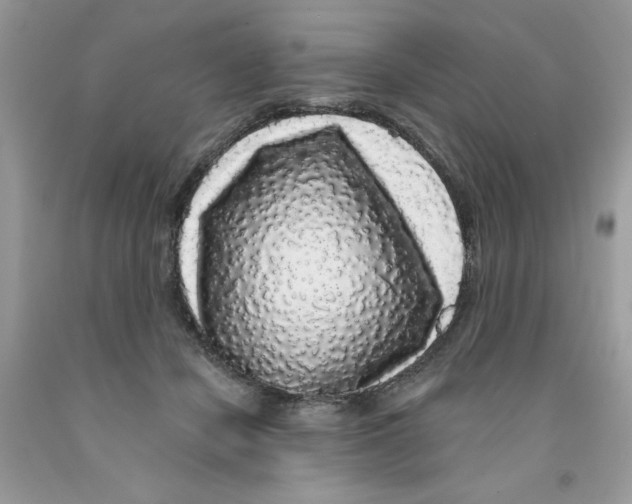X0000091530462200709141438