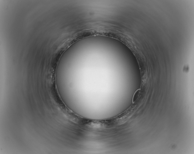 X0000091530464200709141438