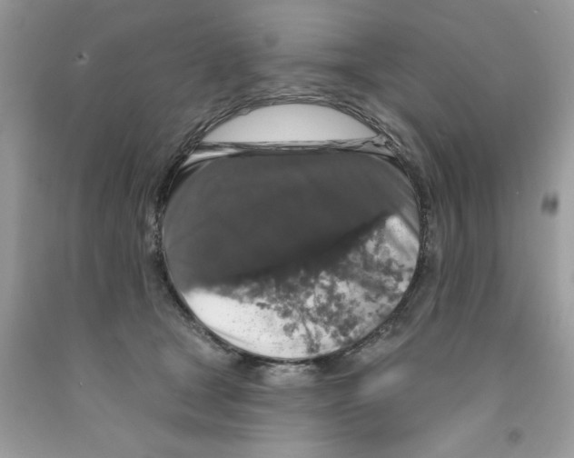 X0000091530465200709141438