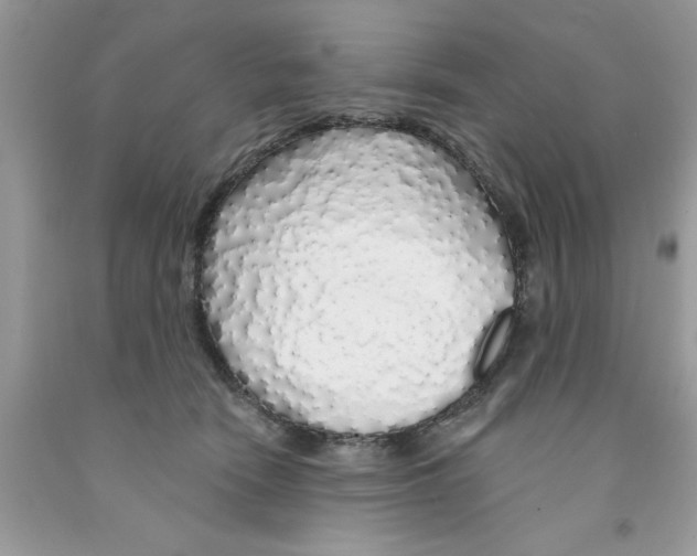 X0000091530466200709141438