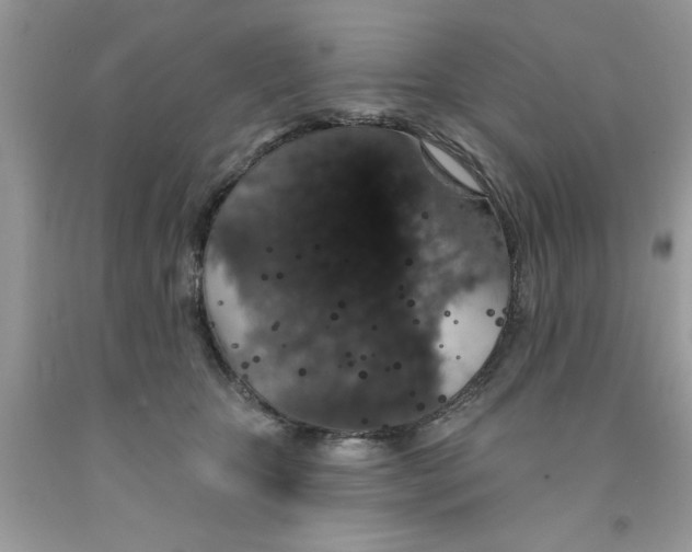 X0000091530467200709141438