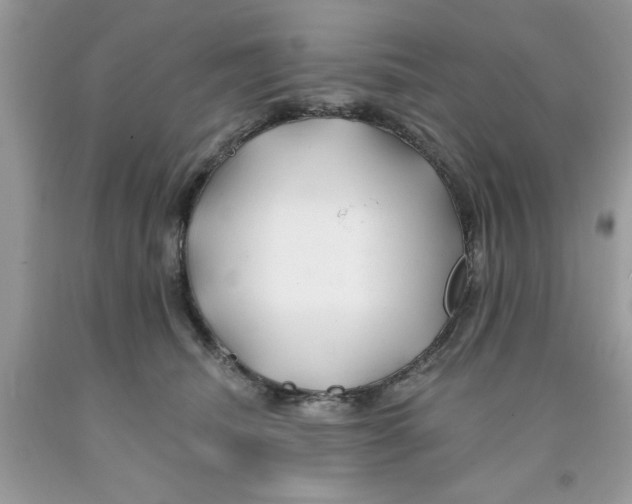 X0000091530468200709141438