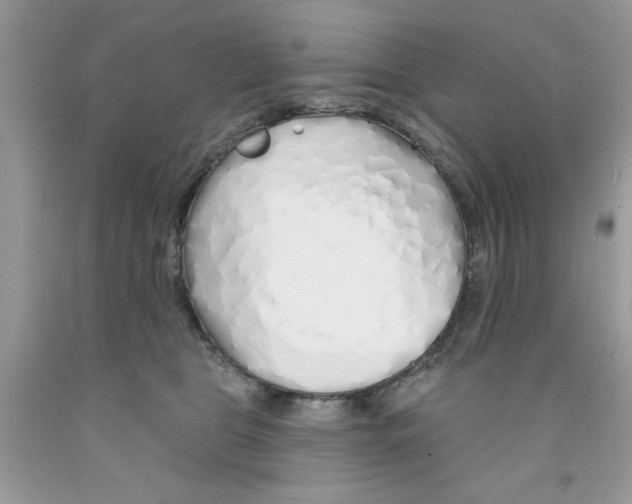 X0000091530469200709141438