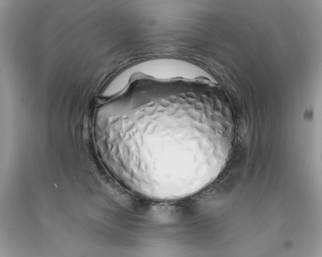X0000091530470200709141439