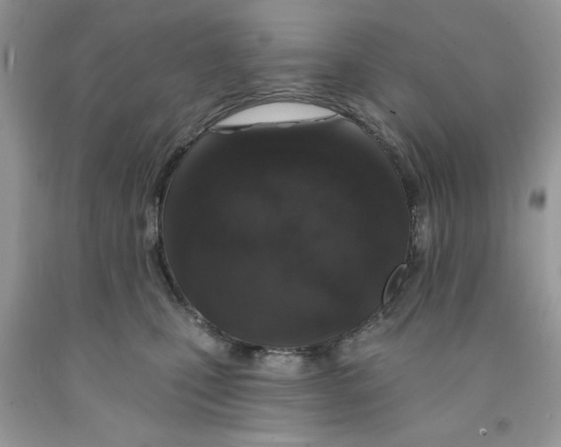X0000091530471200709141439
