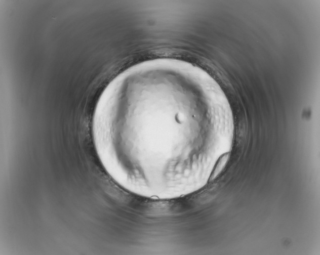 X0000091530473200709141439