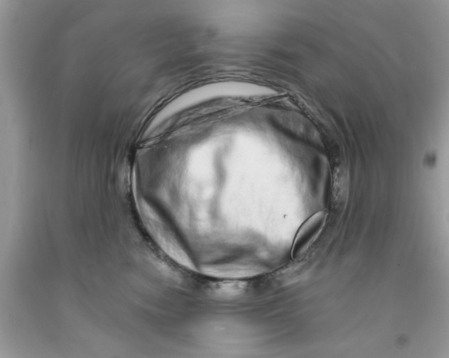 X0000091530474200709141439