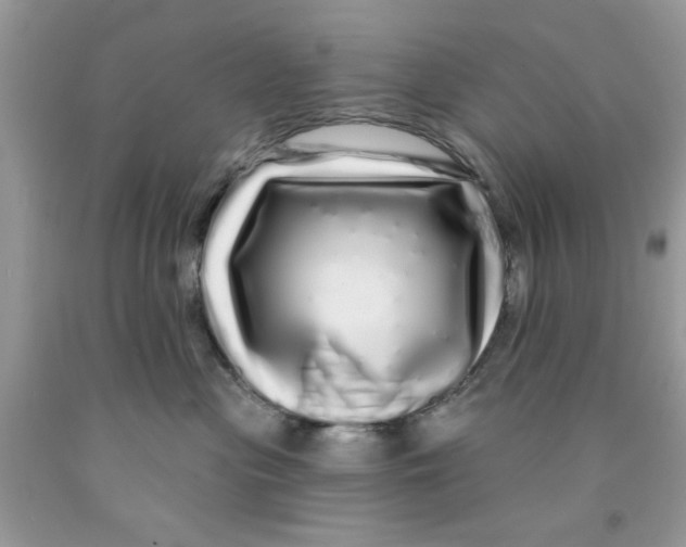 X0000091530477200709141439