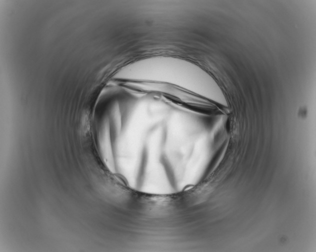 X0000091530478200709141439