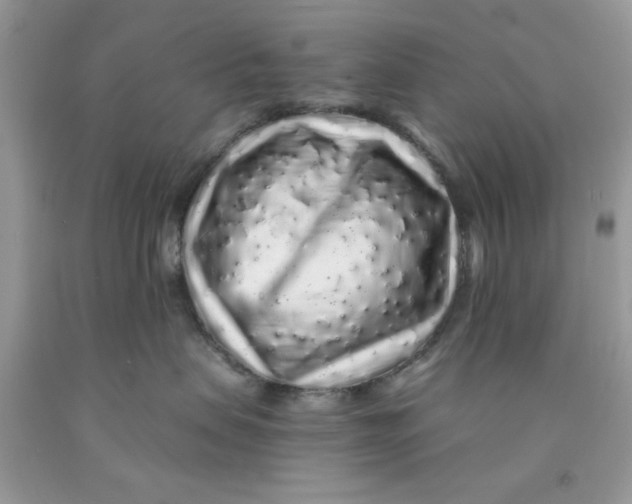 X0000091530479200709141439