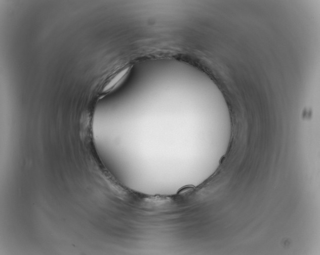 X0000091530480200709141439