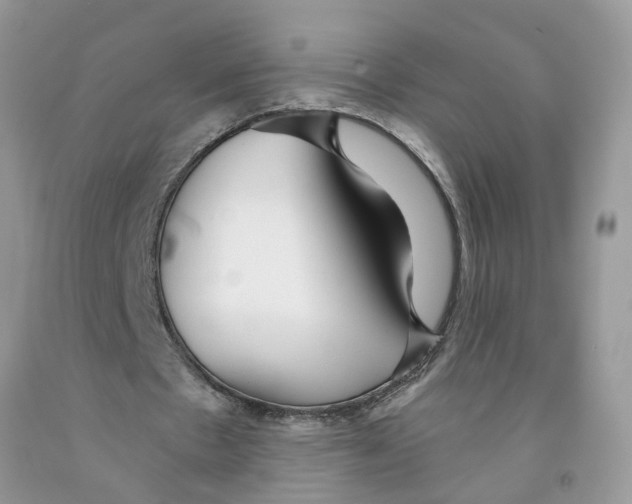 X0000091530481200709141438