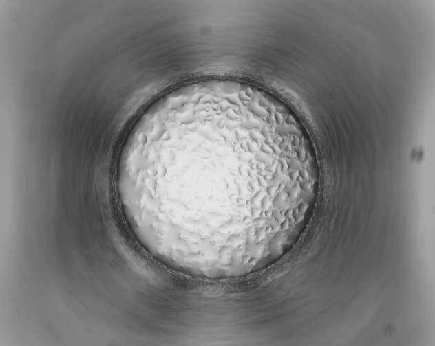 X0000091530482200709141438