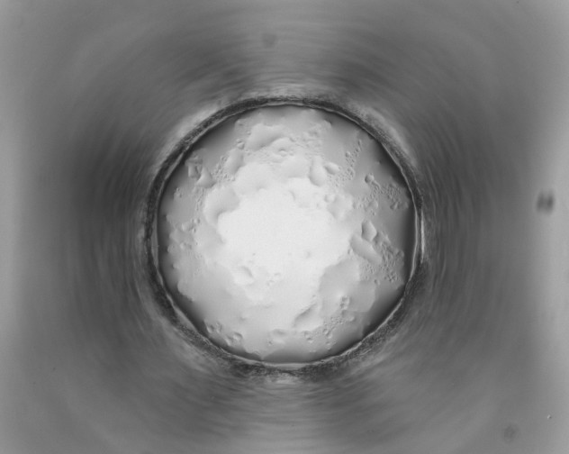 X0000091530483200709141438