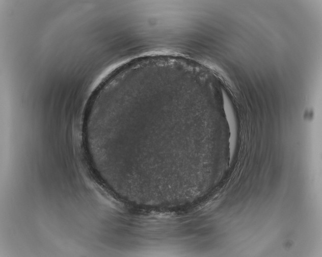 X0000091530484200709141438