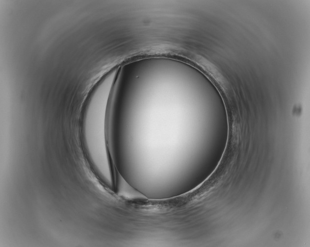 X0000091530485200709141438