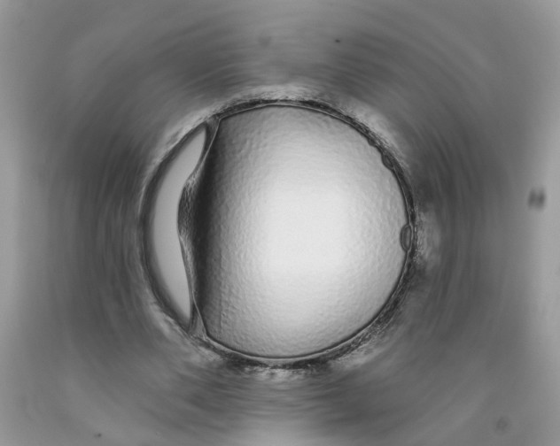 X0000091530486200709141438