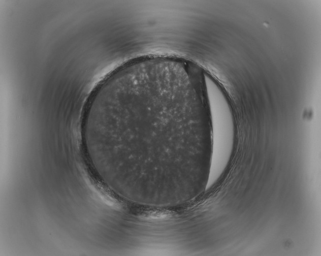 X0000091530488200709141438