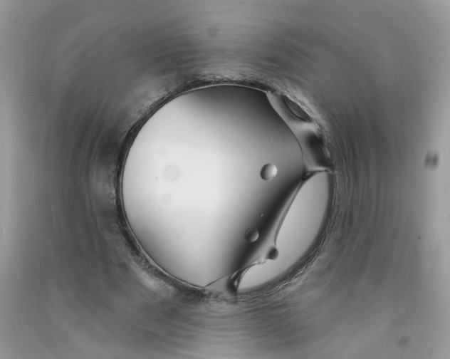 X0000091530489200709141438