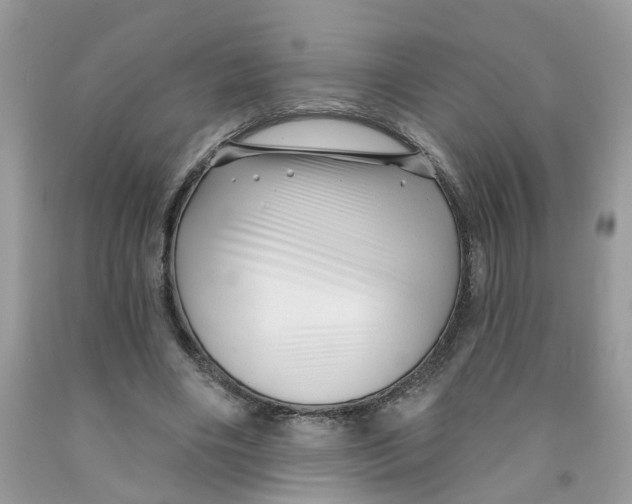 X0000091530490200709141438