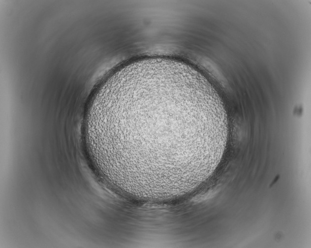 X0000091530491200709141438