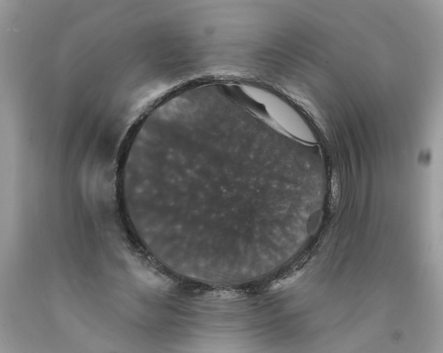 X0000091530492200709141438