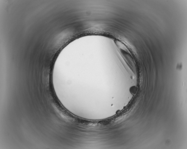 X0000091530493200709141438