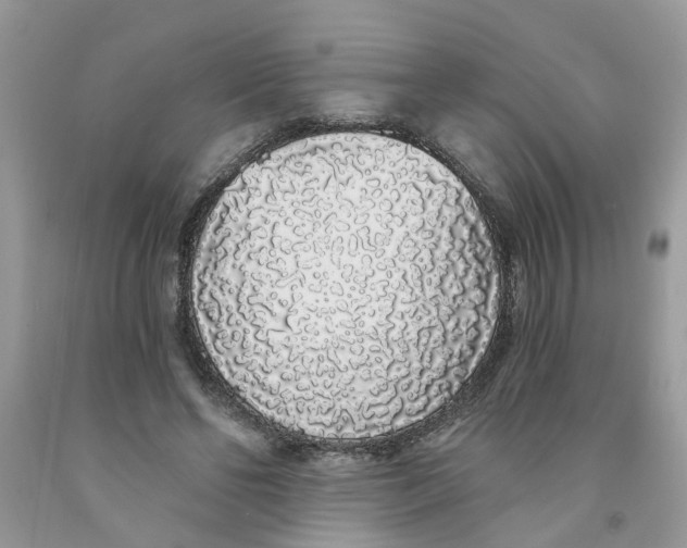 X0000091530494200709141438