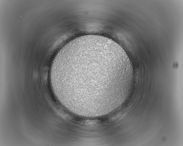 X0000091530495200709141438