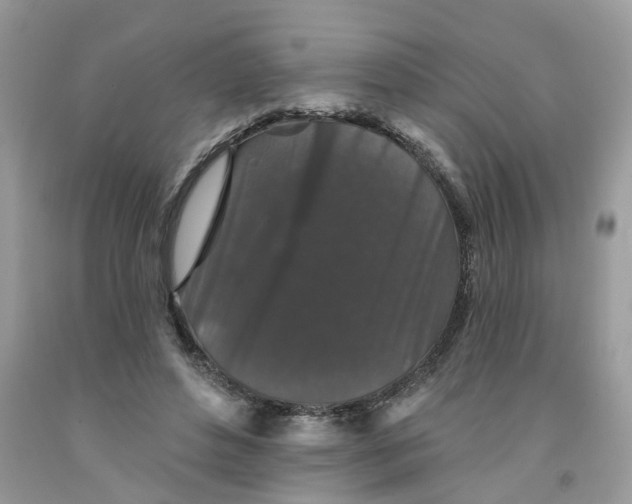X0000091530496200709141438