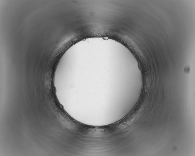 X0000091530497200709141438