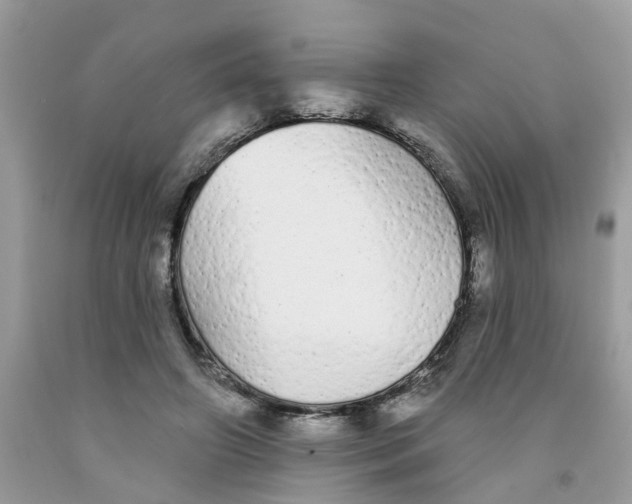 X0000091530498200709141438