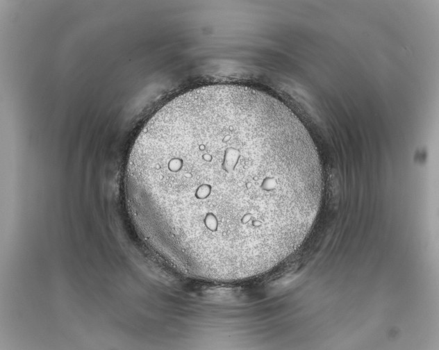 X0000091530499200709141438