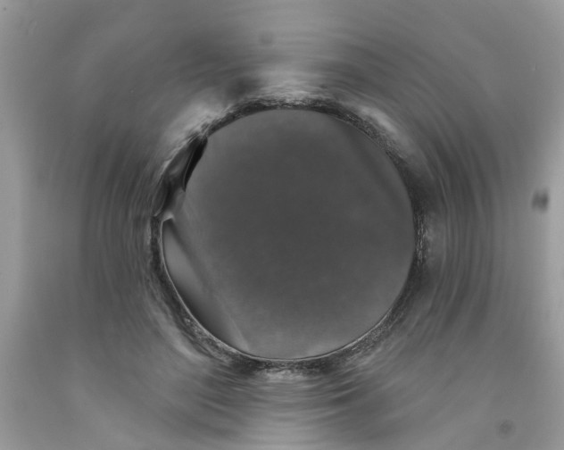X0000091530500200709141438