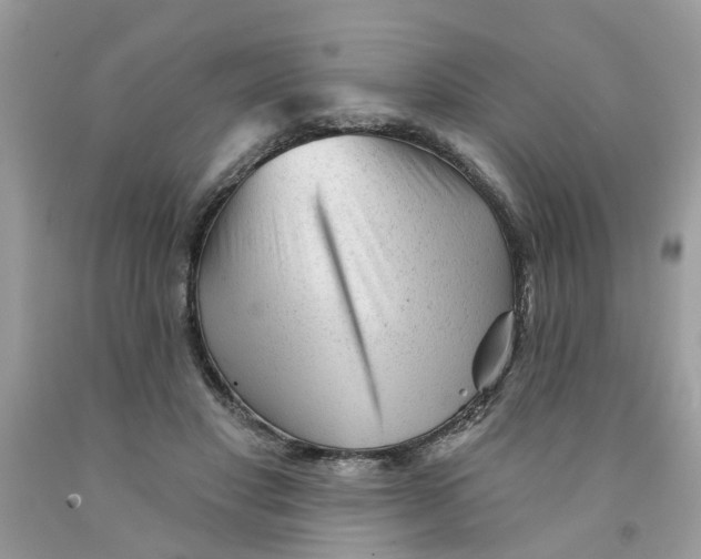 X0000091530501200709141438